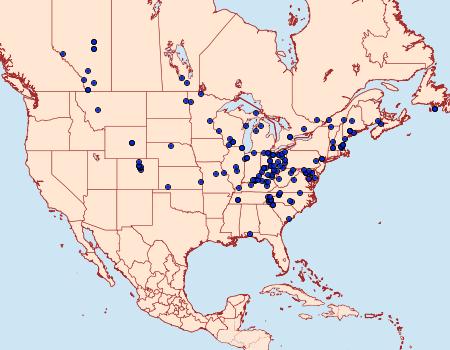 Distribution Data for Lacinipolia meditata