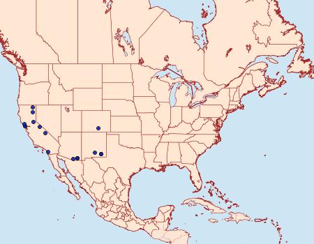 Distribution Data for Lacinipolia incurva