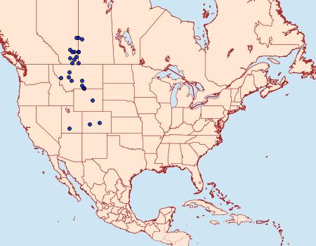 Distribution Data for Lacinipolia longiclava