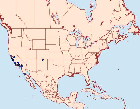 Distribution Data for Lacinipolia leucogramma