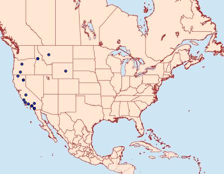 Distribution Data for Lacinipolia acutipennis