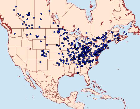 Distribution Data for Lacinipolia renigera