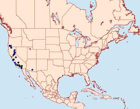 Distribution Data for Lacinipolia circumcincta