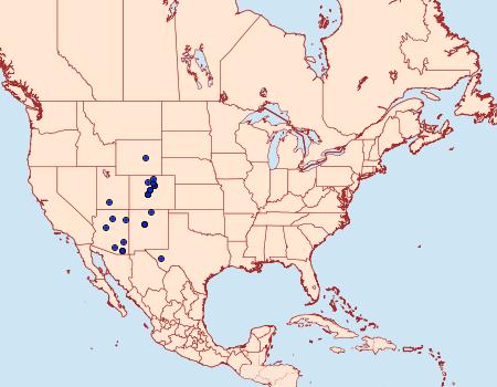 Distribution Data for Lacinipolia lepidula