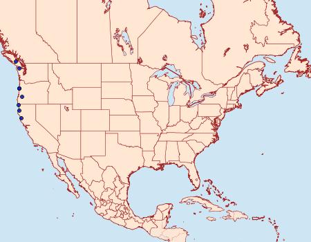 Distribution Data for Lacinipolia bucketti