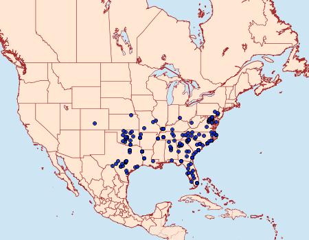 Distribution Data for Lacinipolia laudabilis