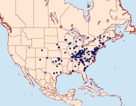 Distribution Data for Lacinipolia implicata