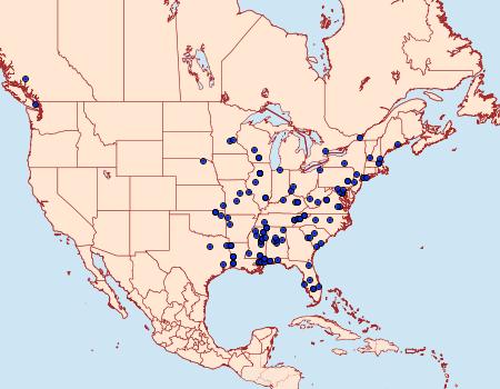 Distribution Data for Decantha boreasella