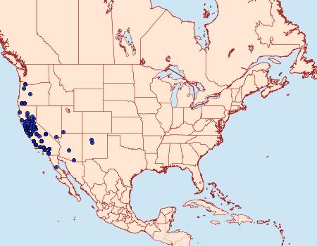 Distribution Data for Lacinipolia quadrilineata