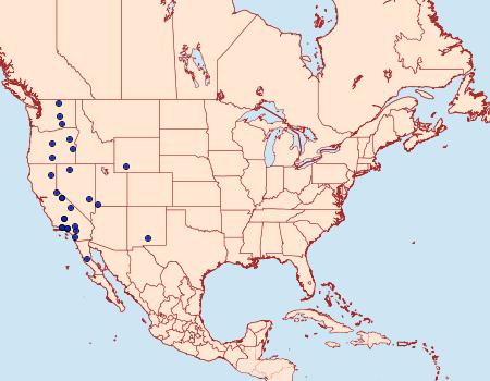 Distribution Data for Trichocerapoda strigata