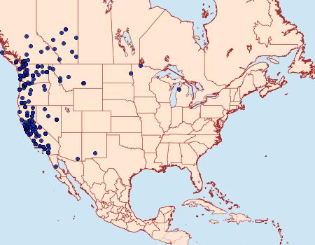 Distribution Data for Dargida procinctus