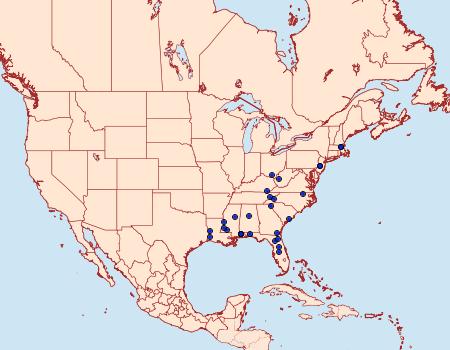 Distribution Data for Decantha stecia