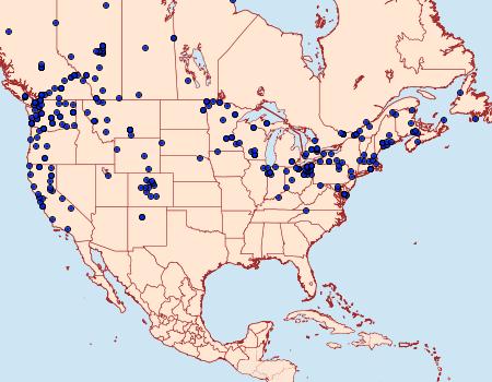 Distribution Data for Mythimna oxygala