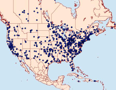 Distribution Data for Mythimna unipuncta