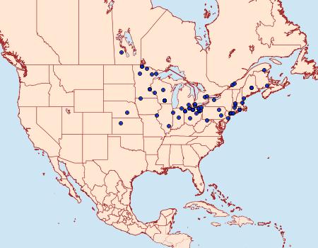 Distribution Data for Leucania amygdalina