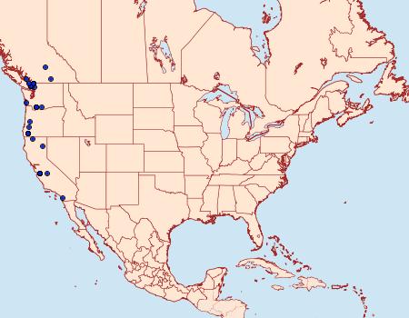 Distribution Data for Leucania oregona