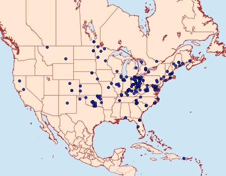 Distribution Data for Leucania phragmitidicola