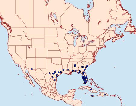 Distribution Data for Leucania incognita