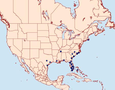 Distribution Data for Leucania subpunctata