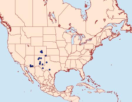 Distribution Data for Leucania stolata