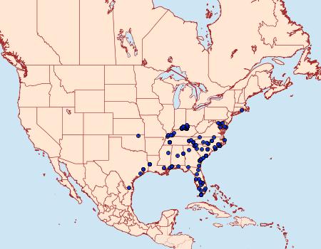 Distribution Data for Leucania scirpicola