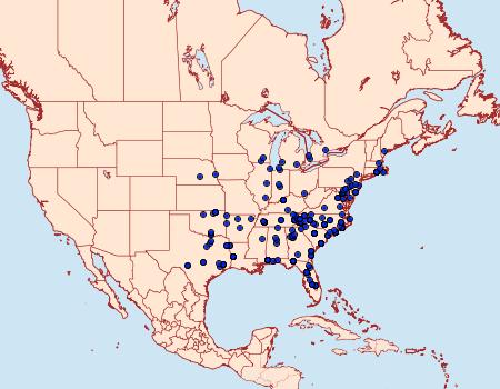 Distribution Data for Leucania adjuta