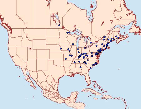 Distribution Data for Leucania inermis