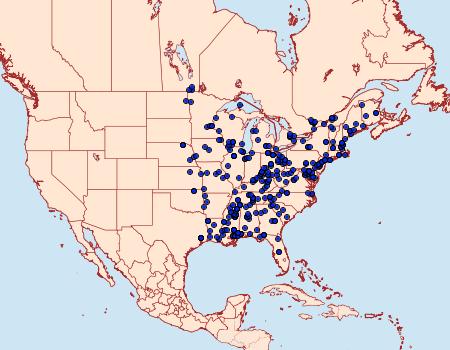 Distribution Data for Callima argenticinctella