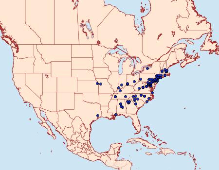 Distribution Data for Promalactis suzukiella