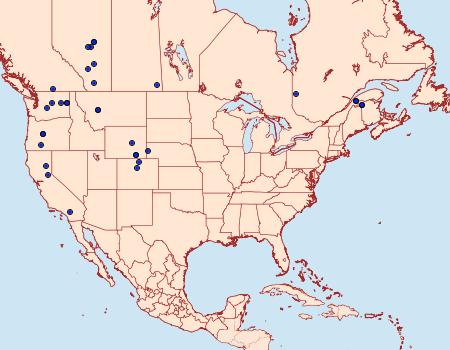 Distribution Data for Stretchia plusiaeformis