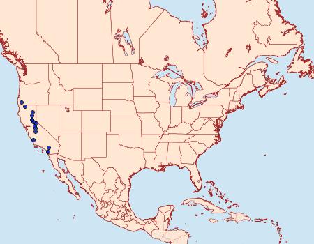 Distribution Data for Stretchia pictipennis