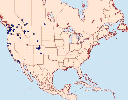 Distribution Data for Stretchia muricina