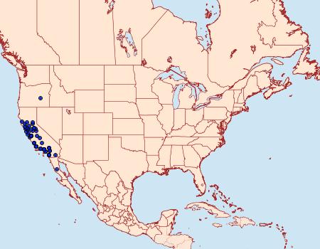 Distribution Data for Orthosia erythrolita