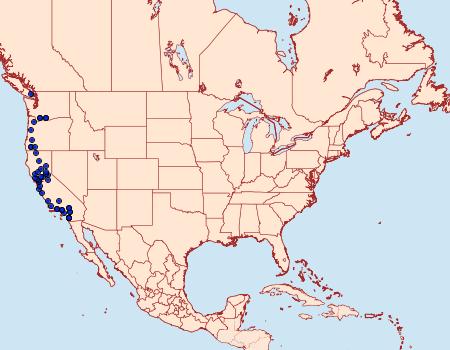 Distribution Data for Orthosia ferrigera