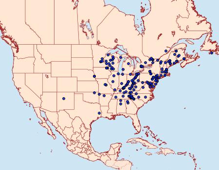 Distribution Data for Orthosia rubescens