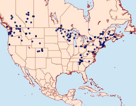 Distribution Data for Orthosia revicta