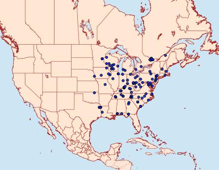 Distribution Data for Orthosia alurina