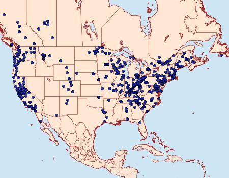 Distribution Data for Orthosia hibisci