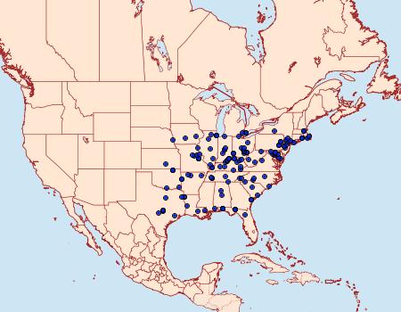 Distribution Data for Kocakina fidelis