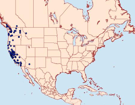 Distribution Data for Egira hiemalis