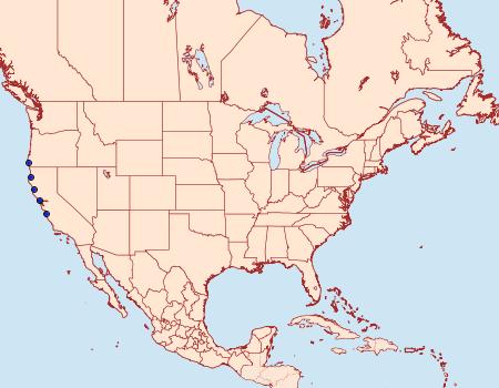 Distribution Data for Egira vanduzeei