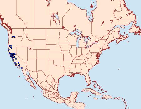 Distribution Data for Egira februalis