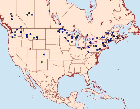 Distribution Data for Egira dolosa