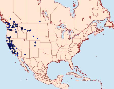 Distribution Data for Egira perlubens