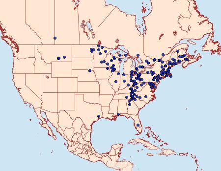 Distribution Data for Morrisonia evicta