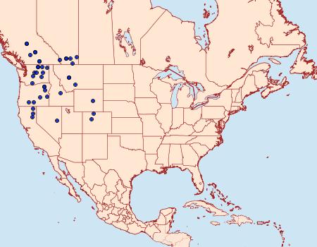 Distribution Data for Tholera americana