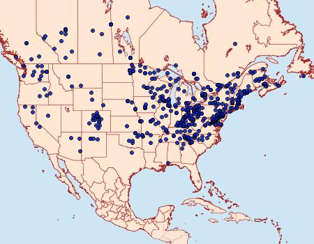 Distribution Data for Nephelodes minians