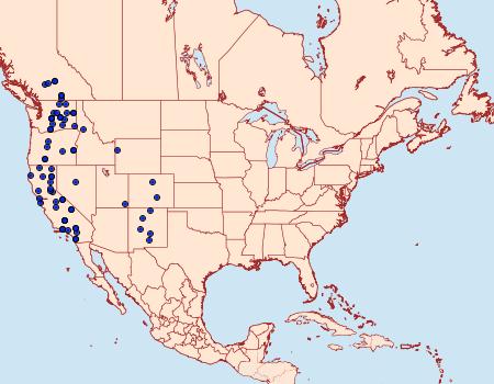 Distribution Data for Trichopolia curtica