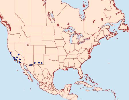 Distribution Data for Trichopolia perforata