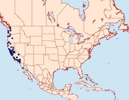 Distribution Data for Trichopolia rufula